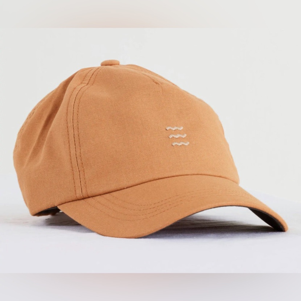 Free Fly Icon Hat (NWT)